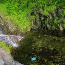 인천목향초등학교 이미지