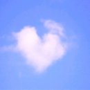 (유)하이얀 이미지