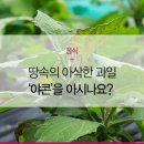 아삭과일