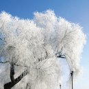 중국 길림성 길림시의 소개 이미지