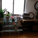 한성@경로당 이미지