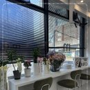 모트헤어 이미지