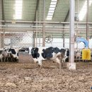 그린낙농 이미지