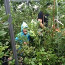 반석농장 이미지