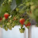 인복농장 이미지