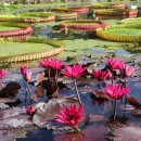 상림관광안내소 이미지