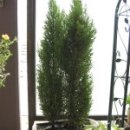 자연가든 이미지