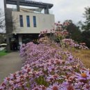 (11/22)바닐라빈 파운드케이크 이미지