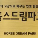 홀스드림파크 이미지