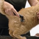 호재활의학과의원 이미지