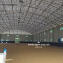 부산국제승마장 이미지