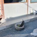 소식다료 이미지