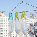 중앙일보부산사업장 이미지