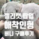 버니 | 젤리캣 팝업 오픈런 &amp; 애착인형 버니 구매 후기