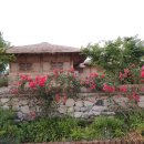 이상만행정사 이미지