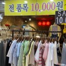 고투베이직