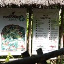 푸푸(POOPOO) 이미지