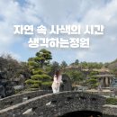 생각하는정원 | 제주도 가볼만한곳 [생각하는정원] 입장료 &amp; 카페 할인 꿀팁 총정리