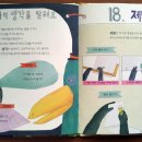 그림책 스토리텔링 팝업북 이미지