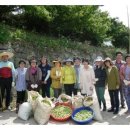 이두수 농장 네이버블로그
