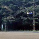 이동읍에서 출발~원삼 sk하이닉스 공사현장답사 영상 후기
