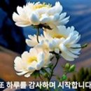 🌺아름다운 명언🌺 이미지