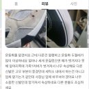 화랑세탁 이미지