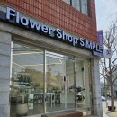 통복사거리 | 평택꽃집 찾는다면 여기! 비전동 '플라워 샵 심플' 감동받은 생신 꽃다발 후기