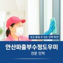 수정파출부