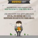 금산장례문화