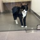 목련동물병원 이미지