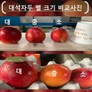 찬이네농원