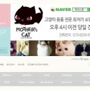 마더스캣