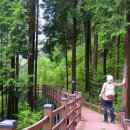 제암산 곰재화장실 이미지