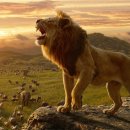 라이온킹 이미지