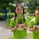 만정농장 이미지