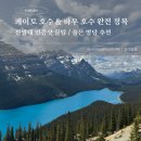 카페카벨 | 여행 #11] 밴프와 재스퍼 사이, 페이토 호수와 바우 호수 후기 및 꿀팁 | 가장 완벽한 파란색을 만나다