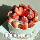 마이마이케이크 - 전주시 덕진구 | 마이마이케이크