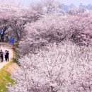 주식회사 푸드라인 이미지