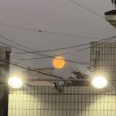 (주)홍이푸드 | 해피해피~