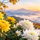 영황백이국(영황백이국)/제봉 태헌 고경명(제봉 태헌 고경명) 이미지