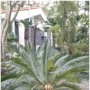 한림종합운동장 체육관 이미지