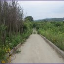 교학초등학교 이미지