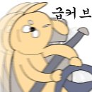 탑아로마