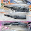 꼬리연구소 | [신랑픽] 가시제거연구소 고등어밥상 핑크 vs 오렌지 내돈내산 비교후기