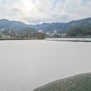 삼기 이미지