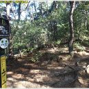 공산초교 이미지