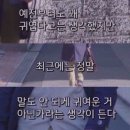 콘서트 후기_제발 울트라 대여하세요