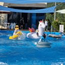 아지펜션 이미지