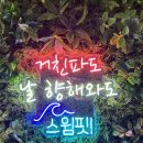 스크린수영장 : 스윔핏(SWIMFIT) 노원점